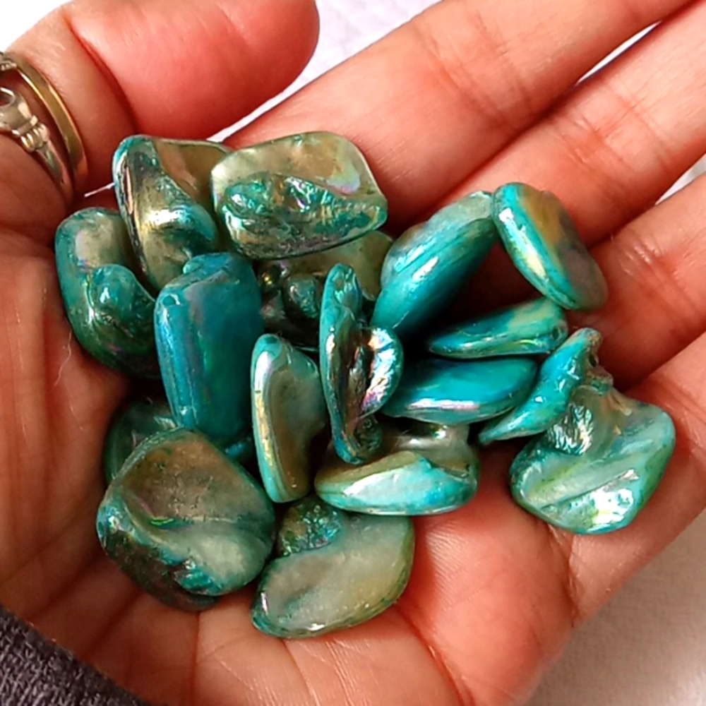 Dyed Natural Shell Beads, 17 total. FREE W Purchase